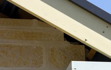 soffit repair Thornthwaite