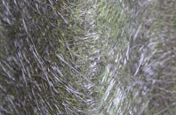 Thornthwaite fibreglass roof work